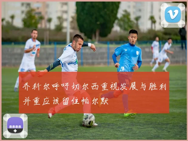 乔科尔呼吁切尔西重视发展与胜利并重应该留住帕尔默