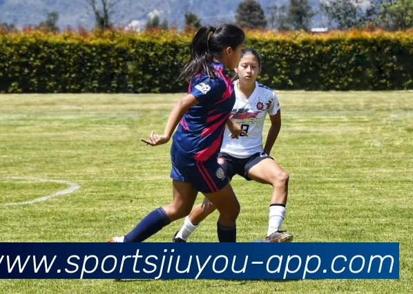 九游娱乐平台生态图